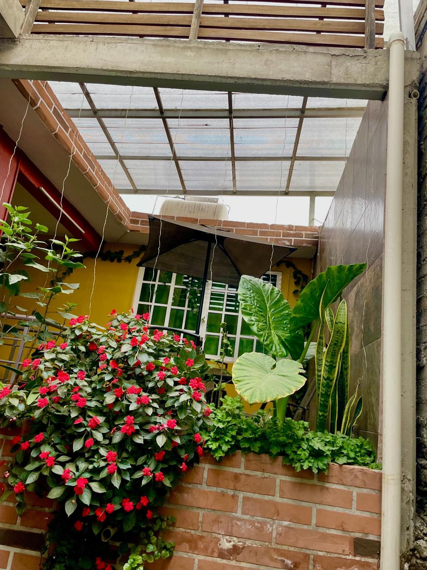 Ferienwohnung Hidden House Mexiko-Stadt Exterior foto